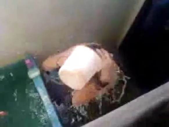 ୱାୟାର୍ ଶୱାର୍ ସେକ୍ସ ମାନଚିତ୍ର ତାର ତାର