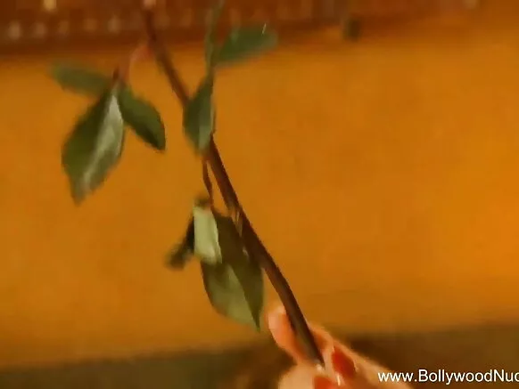 ଭାରତୀୟ ପ୍ରେମୀ ଇଂରାଜୀ ନୀଳ ଭିଡିଓରେ ଏକୁଟିଆ ବୁଲନ୍ତି