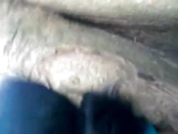 ଭାରତ ମାଉସୀ hindi hd ସେକ୍ସି ଚଳଚ୍ଚିତ୍ର 1335